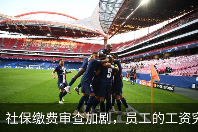 社保缴费审查加剧，员工的工资究竟去哪了？